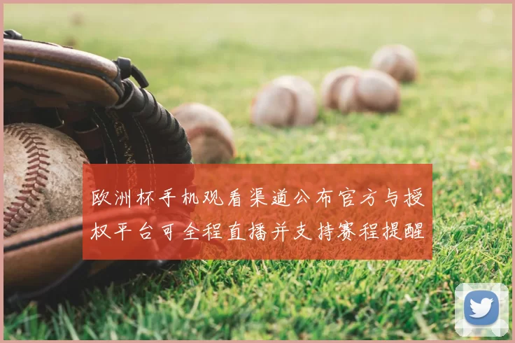 欧洲杯手机观看渠道公布官方与授权平台可全程直播并支持赛程提醒