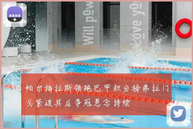 帕尔梅拉斯领跑巴甲积分榜弗拉门戈紧追其后争冠悬念持续