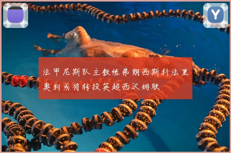 法甲尼斯队主教练弗朗西斯科法里奥利或将转投英超西汉姆联