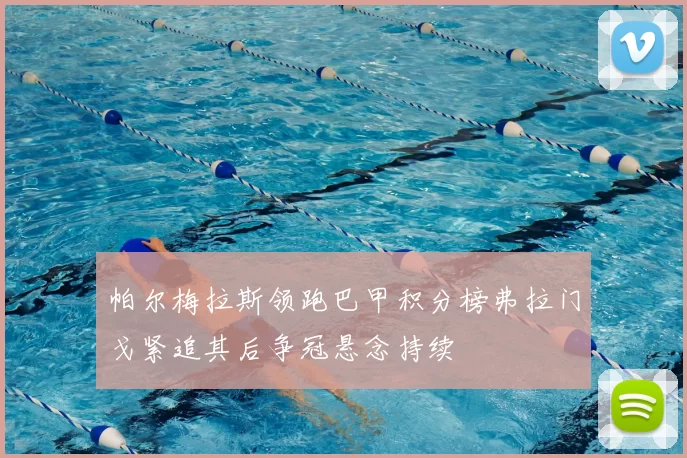 帕尔梅拉斯领跑巴甲积分榜弗拉门戈紧追其后争冠悬念持续