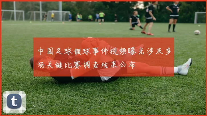 中国足球假球事件视频曝光涉及多场关键比赛调查结果公布